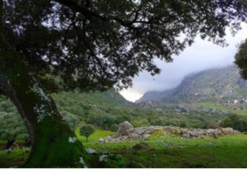 Conoce Villaluenga, un pueblo de Cádiz en las alturas: qué ver, dónde dormir y rutas