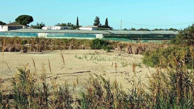 Inician los trámites para incluir la Laguna de Bonanza en el inventario de humedales andaluces
