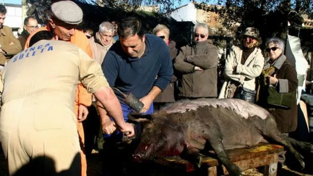 Sevilla recupera el rito de la matanza del cerdo