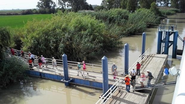 Vuelve la actividad al pantalán de Isla Mínima con la llegada de cruceristas