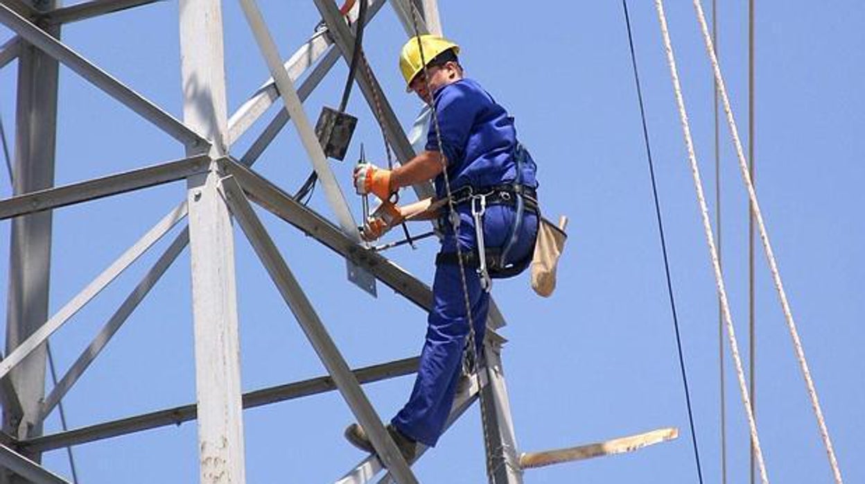 Un operario de Endesa revisa una de las líneas aéreas en la provincia de Sevilla