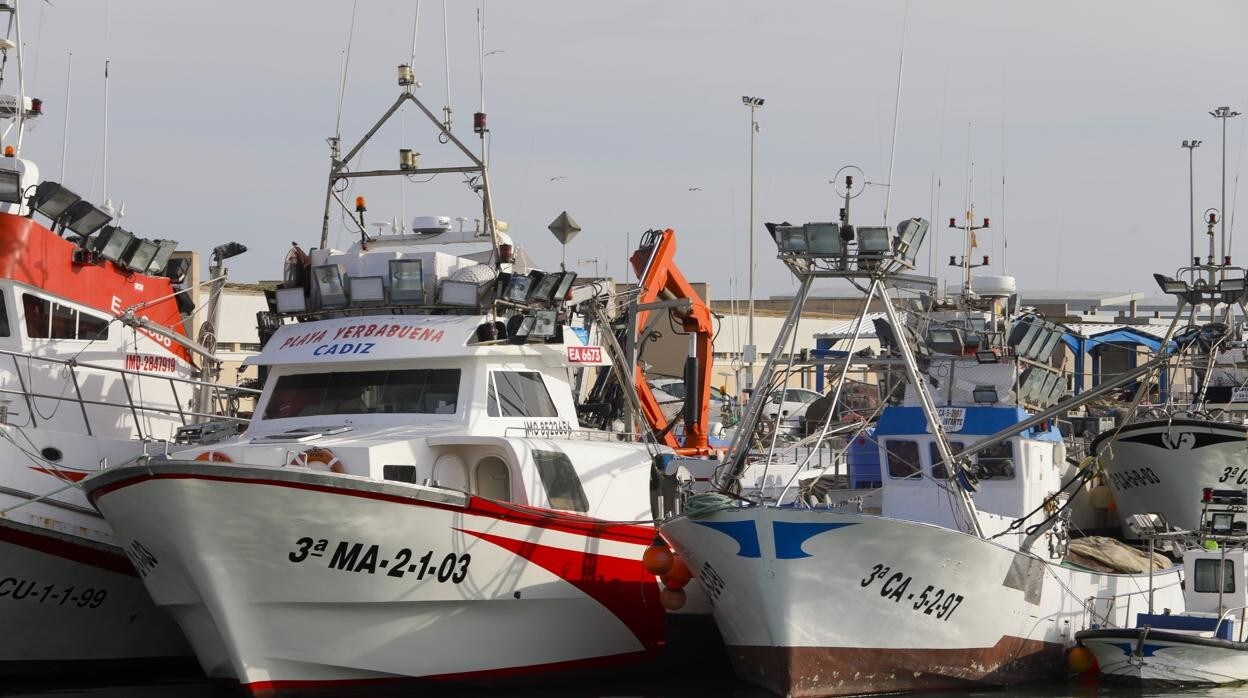 La flota pesquera de Barbate seguirá amarrada a puerto