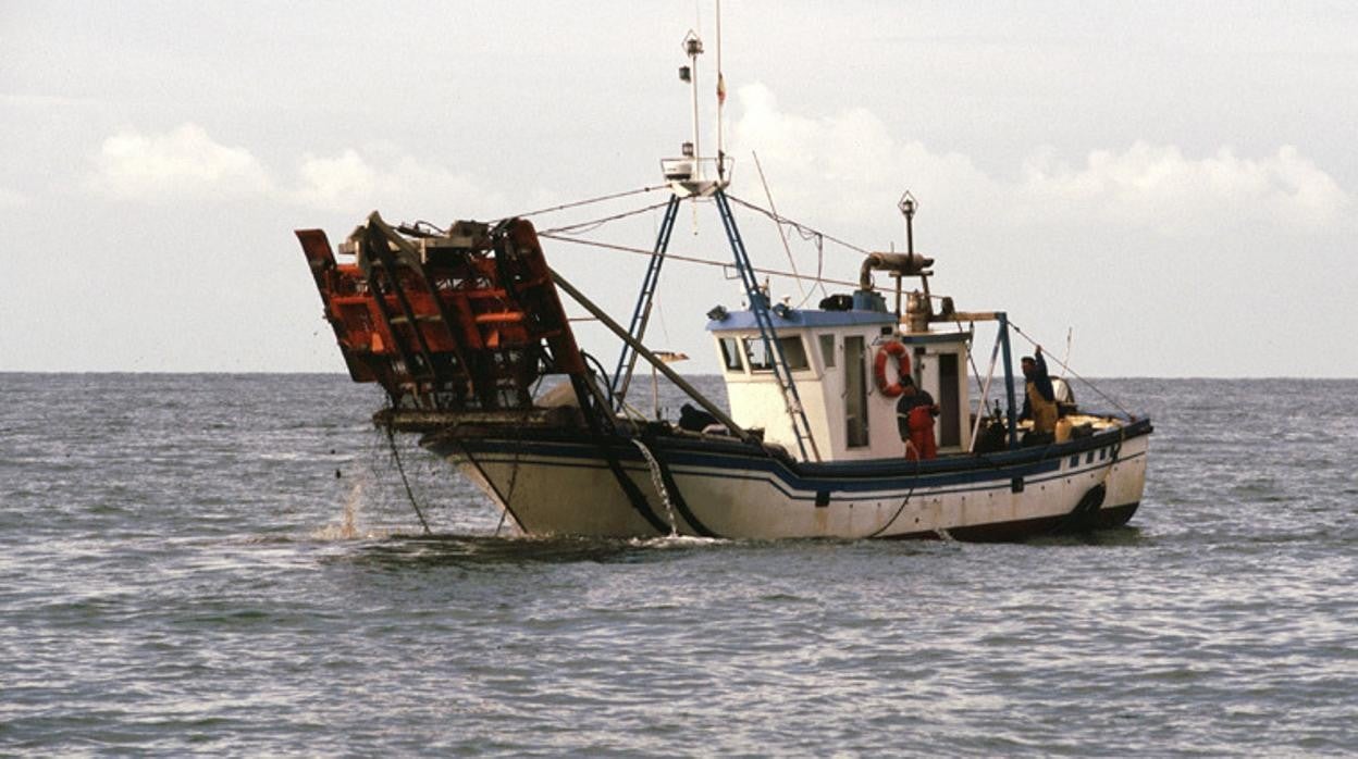 Ayudas de 720.000 euros a barcos afectados por paros de la pesca de la chirla en el Golfo de Cádiz