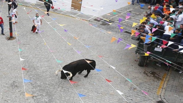 El Toro Embolao de Vejer vuelve este Domingo de Resurreción