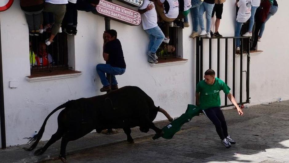 Vídeo: Toro Embolao atrae a miles de personas hasta Vejer