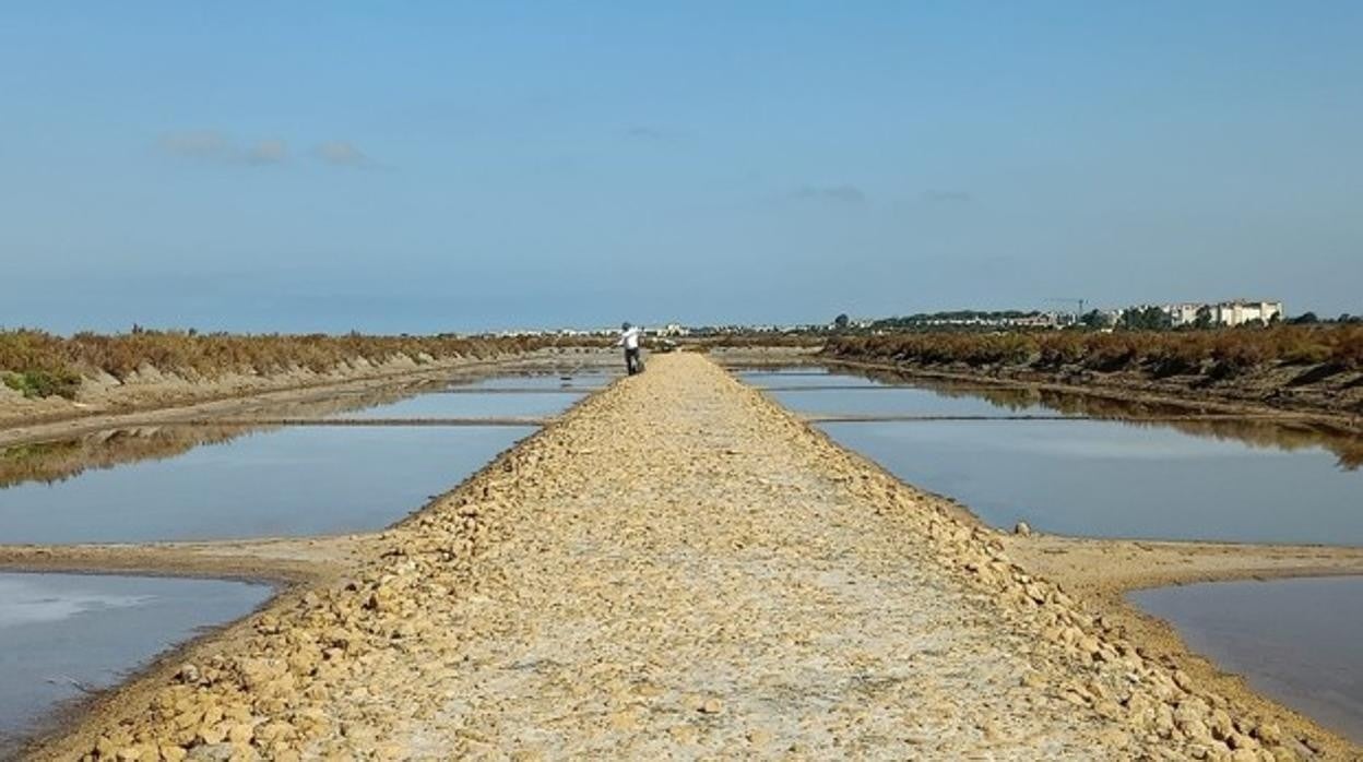 Salina La Tajería