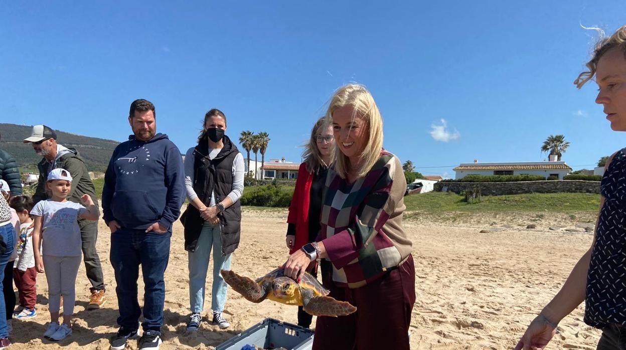 Liberadas tres tortugas bobas que fueron rescatadas en Sanlúcar de Barrameda