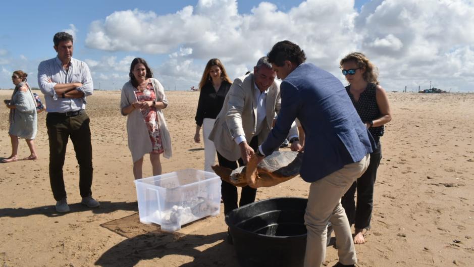 Liberadas dos tortugas marinas en la playa de Camposoto rescatadas por SOS Caretta