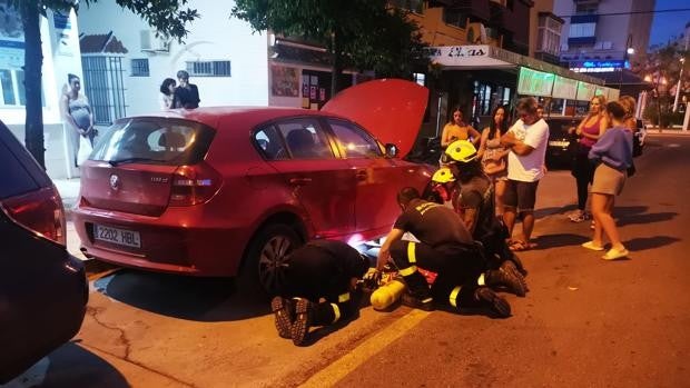 Un gato protagoniza una surrealista escena y moviliza una céntrica calle de Sanlúcar durante varias horas