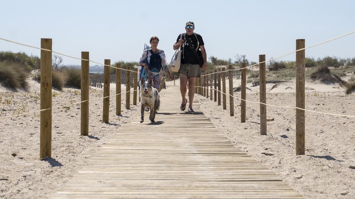 Nuevas pasarelas para acceder a la playa de perros de Camposoto