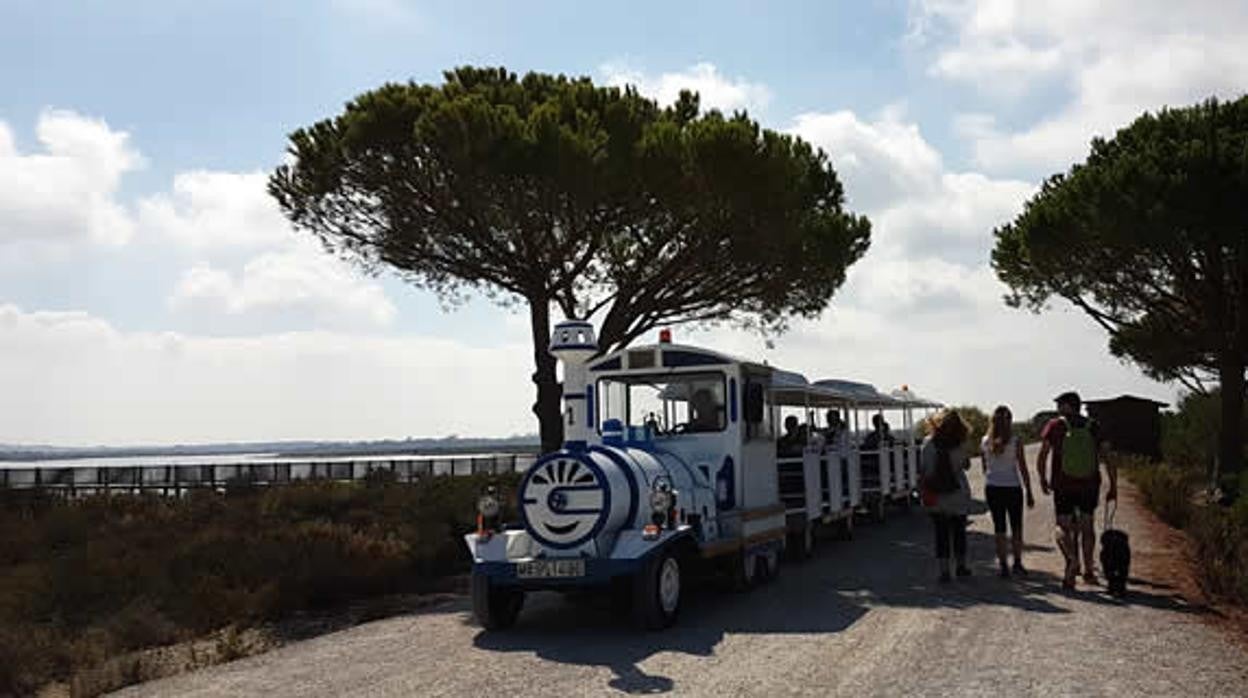 Vuelve el tren de la playa de Levante de Valdelagrana