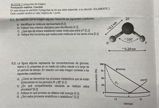 Examen de Biología en la Selectividad de Andalucía