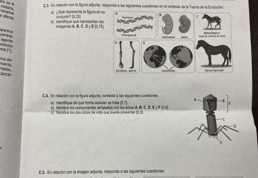 Examen de Biología en la Selectividad de Andalucía