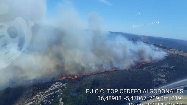 Controlado el incendio de Jimena