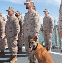 El equipo cinológico embarcado en la fragata, con el perro 'Bolt'.