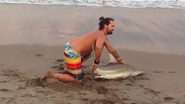 Saca a un tiburón del agua para hacerse una foto con él