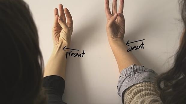 El vídeo de YouTube que demuestra cómo la evolución ha modificado el cuerpo humano