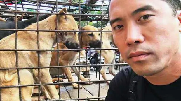 Marc Ching, fundador de la fundación 'Animal Hope Wellness'