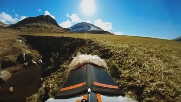 Imagen de una oveja filamdo el paisaje de las Islas Feroe