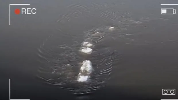YouTube: ¿El nuevo monstruo del Lago Ness? Captan en Alaska un «extraño objeto» que revoluciona internet