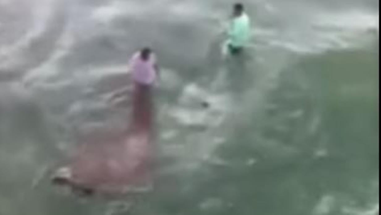 Un pescador es atacado por un tiburón