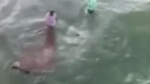 Un pescador es atacado por un tiburón
