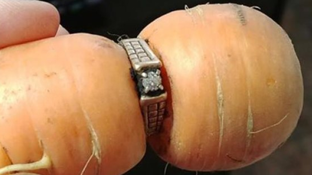 Una anciana recupera su anillo de compromiso trece años después gracias a una zanahoria