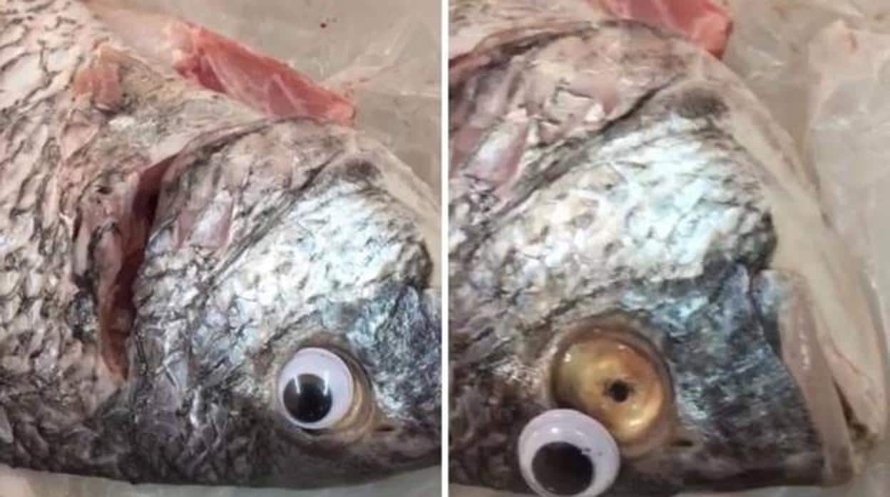 Una pescadería pone ojos de plástico a su pescado para que parezca fresco