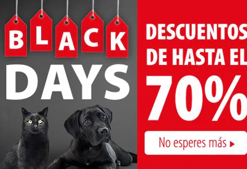 Mima a tus mascotas con los Black Days de Zooplus este mes de noviembre