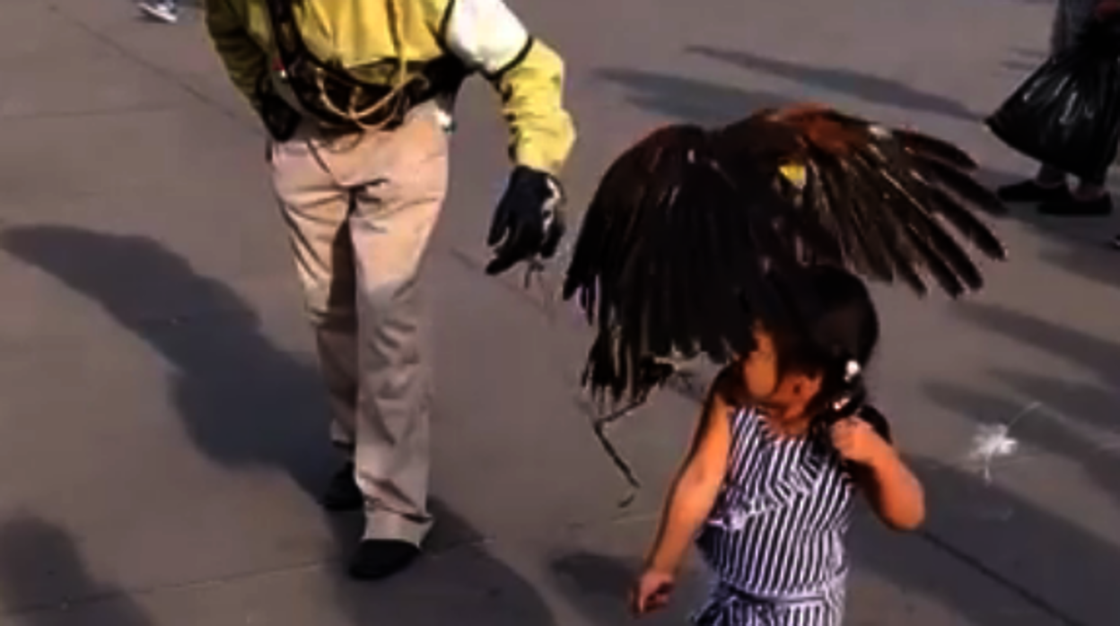 Momento en el que el águila se posa sobre la niña