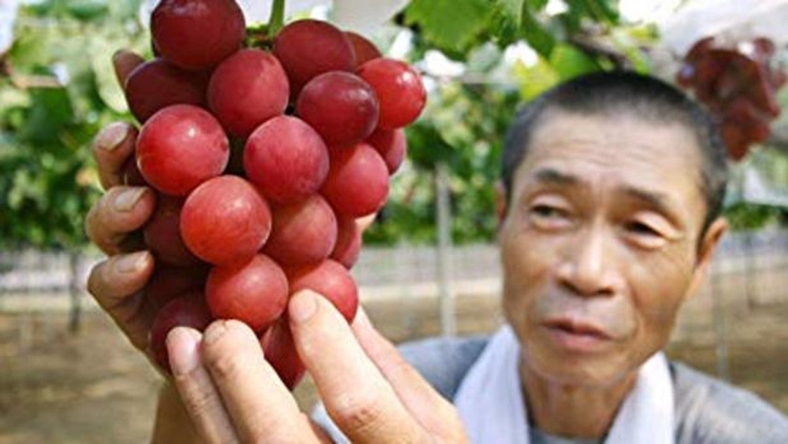 Ruby Roman, las uvas más caras del mundo