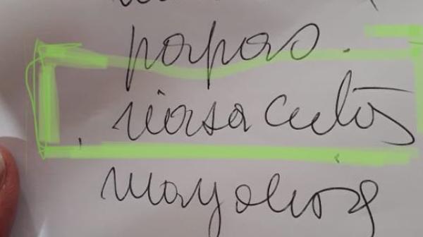 Imagen de la lista de la compra con la palabra «imposible» de descifrar