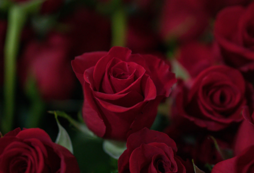 Los mejores planes para disfrutar de un San Valentín muy especial