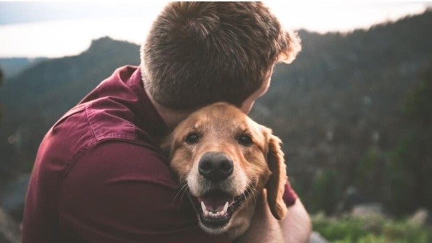 Cinco productos de parafarmacia y hogar para cuidar mejor a tu mascota