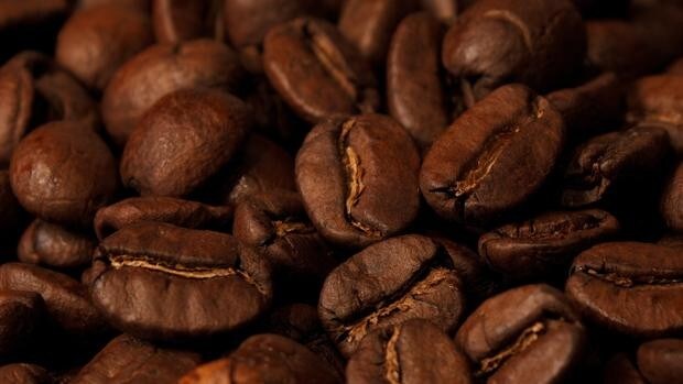 Un médico británico sorprende con su polémica teoría sobre los granos de café: «Tienen restos de cucaracha»