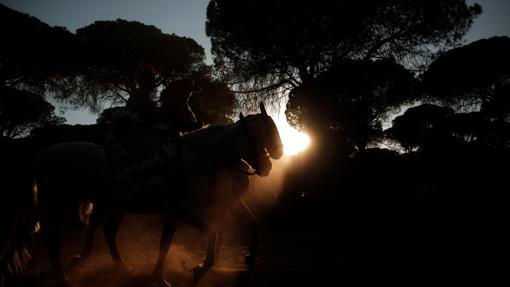 Peregrinos por los caminos del Coto de Doñana