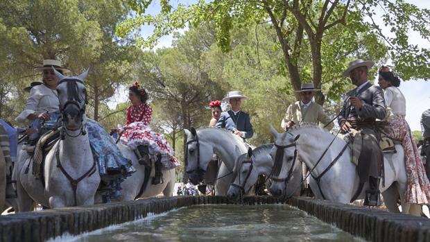 La llegada de la hermandad Matriz de Almonte abre la Romería del Rocío 2019