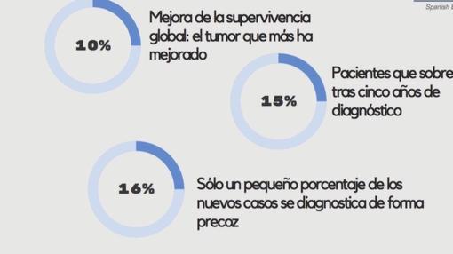 Cáncer de Pulmón 2015 España