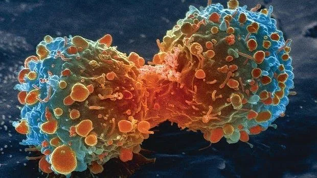División de una célula tumoral