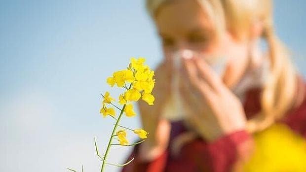 Ocho millones de españoles son alérgicos al polen