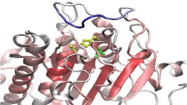 Estructura tridimensional de la proteína LIPG