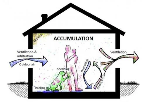 La ventilación facilita una mayor diversidad de microorganismos en nuestros hogares