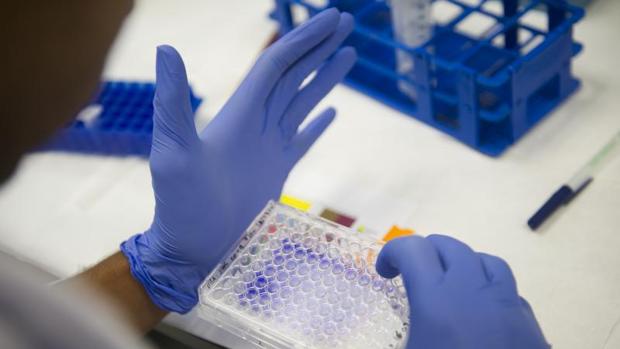 PharmaMar consigue resultados positivos en el ensayo de Fase II en cáncer de mama metastásico BRCA 1/2