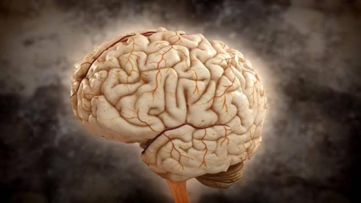 Las enfermedades neurovasculares son una de las primeras de mortalidad