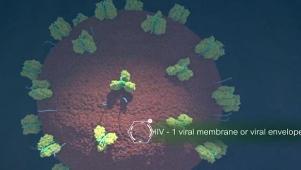 Un virus del sida de segunda clase