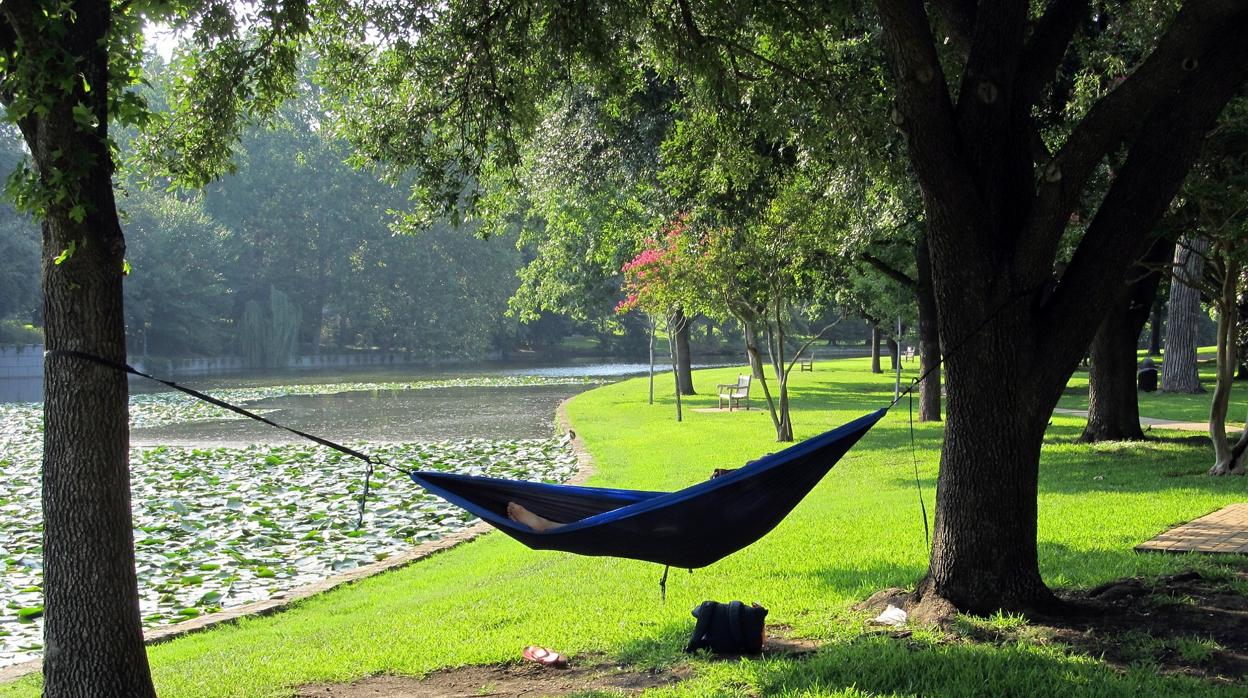 Siesta de verano