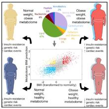 Gráfica del metaboloma