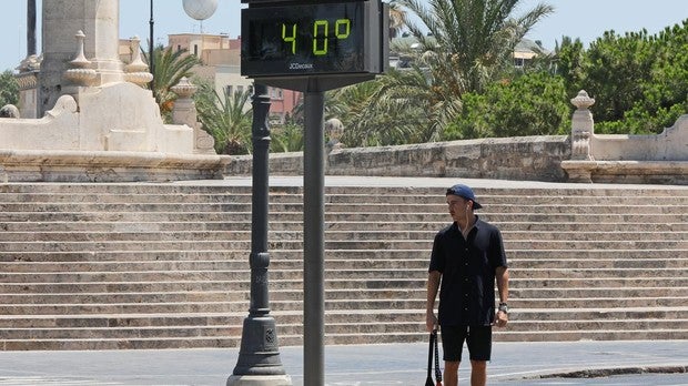 El calor extremo nos debilitará frente al virus de la gripe