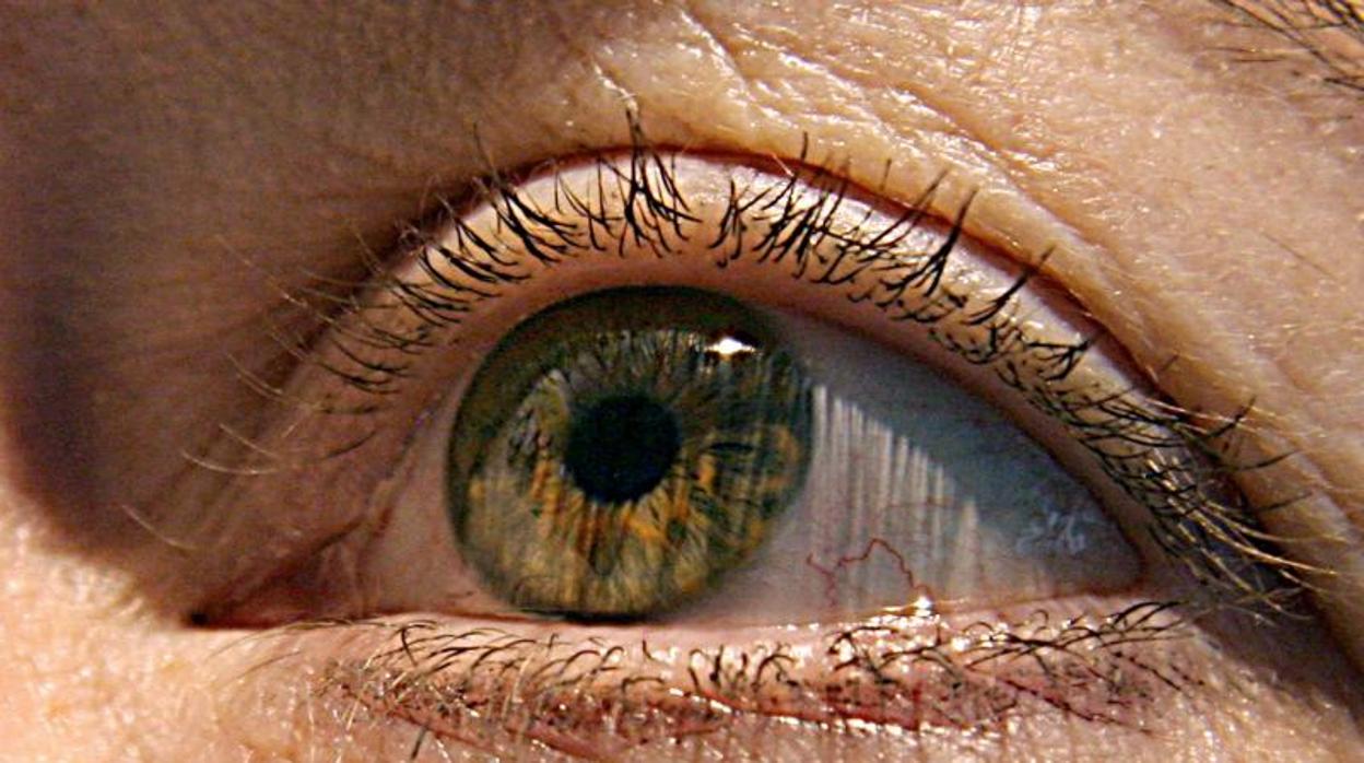 El glaucoma cursa de forma asintomática en sus inicios