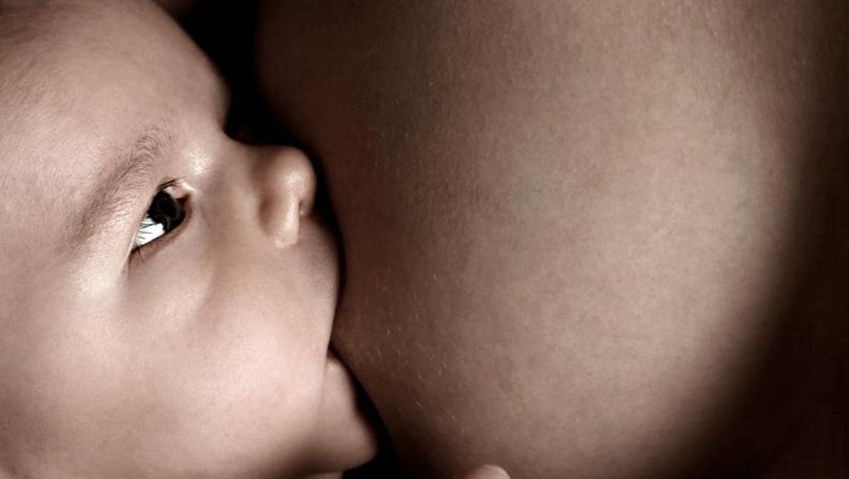 La OMS recomienda lactancia materna exclusiva los seis primeros meses de vida